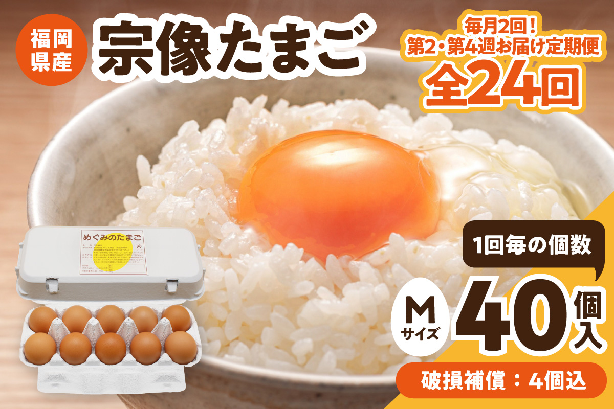【毎月2回！第2・第4週お届け定期便】新鮮 赤卵「宗像たまご」Mサイズ 40個×12ヶ月定期便 (36個＋補償4個)【JAほたるの里】_HB0218