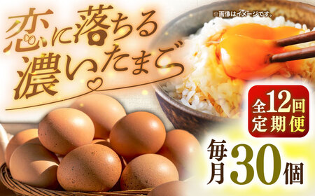 【全12回定期便】【特選卵】素直な恋たまご 30個 [JAP021]