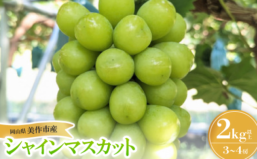 
            ＜2026年先行受付＞岡山県美作市産 シャインマスカット 2kg【1609174】
          