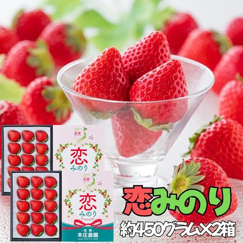 【贈答品】 特別栽培イチゴ 恋みのり 化粧箱（450g）× 2箱　12月下旬～4月発送：B245-009
