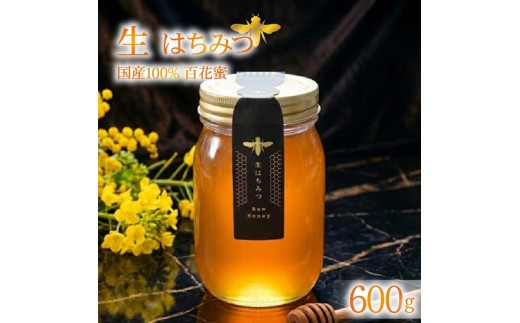 蜂蜜 ローハニー 600g はちみつ 国産 非加熱 百花蜜 生はちみつ 純粋 ハチミツ ハニー お取り寄せ お土産 発酵食品 下田みつばち 静岡県 下田市 伊豆