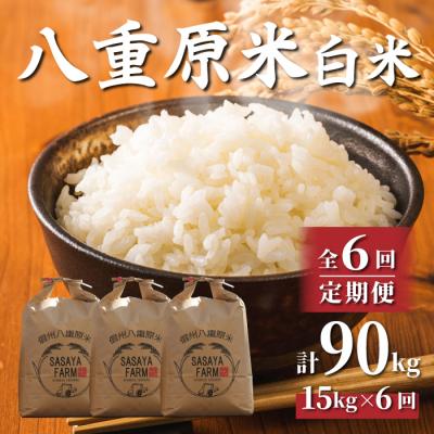 ふるさと納税 東御市 令和8年新米受付【6回定期便】八重原米15kg(5kg×3)白米※2026年10月以降発送|笹屋農園