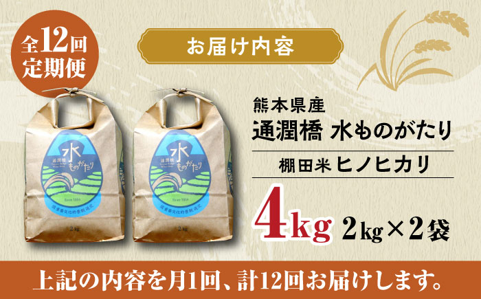 【全12回定期便】令和5年産  通潤橋 水ものがたり 棚田米 4kg (2kg×2袋) お米 白糸台地 熊本産 特別栽培米 定期便 【一般社団法人 山都町観光協会】[YAB017]