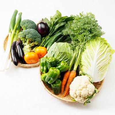 ふるさと納税 藍住町 【発送月固定定期便】《春・夏・冬》旬のお野菜詰め合わせセット6kg全3回 |  | 03