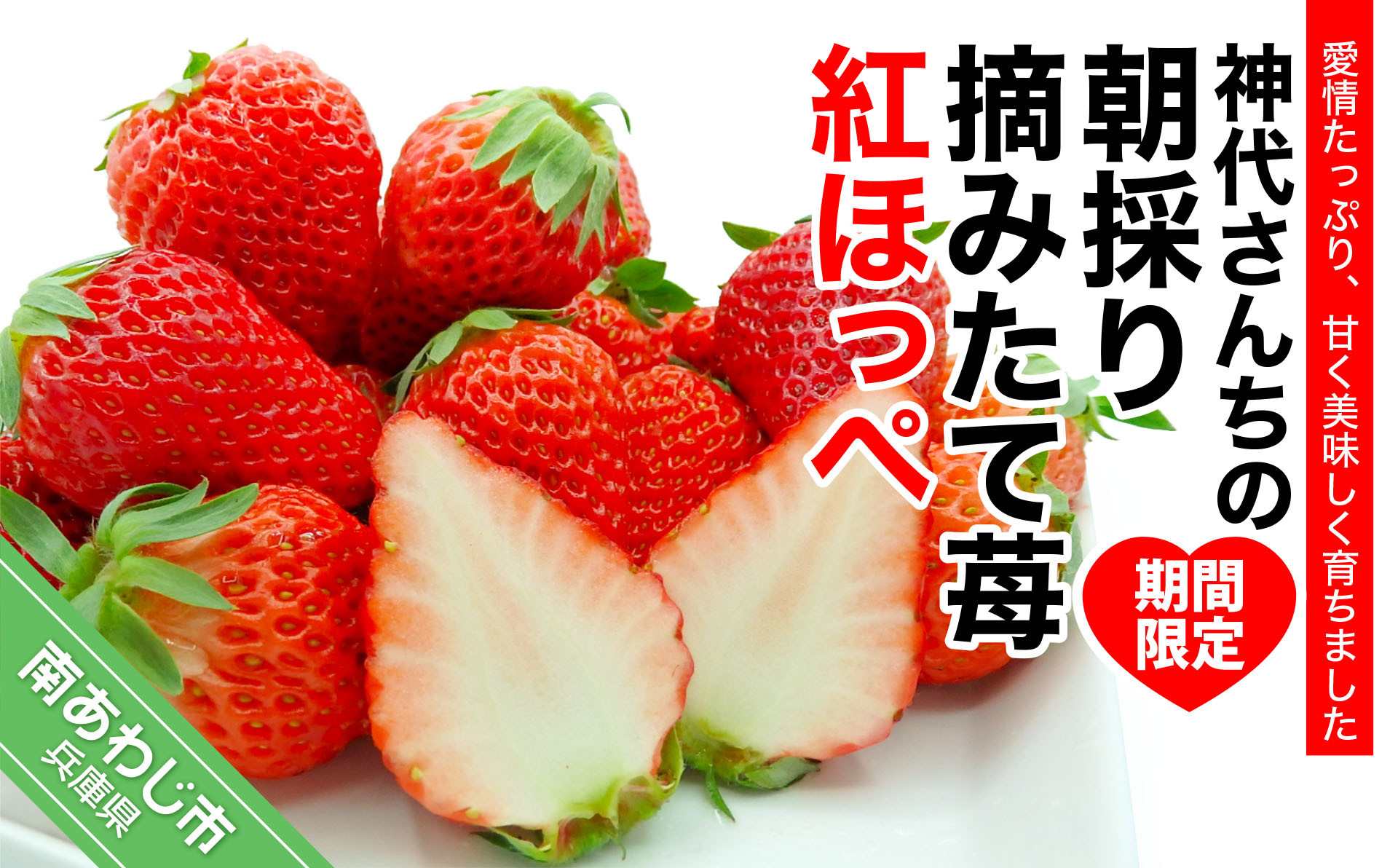 
            神代さんちの朝採り摘みたていちご　紅ほっぺ　◆配送１月中旬～
          