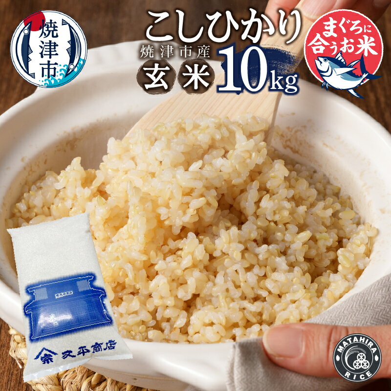 【ふるさと納税】 米 玄米 コシヒカリ 10kg (5kg×2袋) 老舗米屋 マグロに合う ごはん 焼津 a32-032