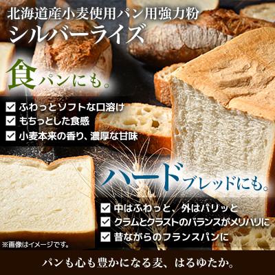 ふるさと納税 室蘭市 北海道産 はるゆたかブレンド小麦粉 シルバーライズ(パン用強力粉)10kg |  | 02
