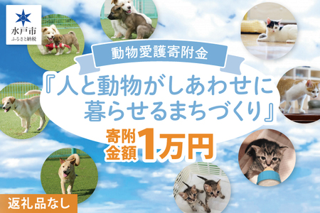 【返礼品なし】水戸市 動物愛護寄附金『人と動物がしあわせに暮らせるまちづくり』10000円【動物愛護 愛護活動 保護 犬 猫 いぬ ねこ イヌ ネコ 動物 ペット 応援 支援 水戸市どうぶつ愛護センター 茨城県】(LW-9)