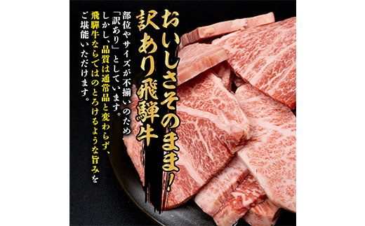 【訳あり】飛騨牛 焼肉　切り落とし 500g【配送不可地域：離島】