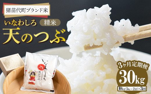 
                  定期便 【3ヵ月連続】令和7年産 猪苗代町ブランド米 いなわしろ天のつぶ 10kg ｜ 米 お米 精米 白米 福島 大粒 寿司 和食
                