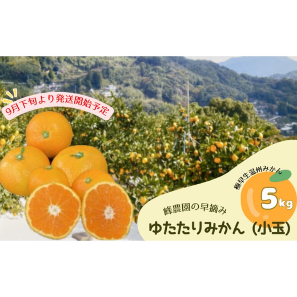 【ふるさと納税】峰農園の早摘みゆたたりみかん 小玉5kg 温州 みかん ミカン 蜜柑 温州蜜柑 温州ミカン フルーツ くだもの 果物 ミネラル豊富 太良町 国産 さがみかん 太良みかん 有明海の潮風 贈答用 お中元 お歳暮 産地直送 月の引力が見える町 ふるさと納税 返礼品 LB4