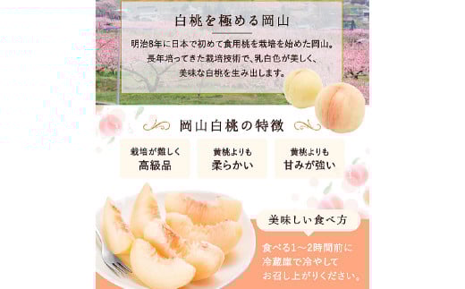 白桃 6玉（1.5kg以上） 等級：ロイヤル 化粧箱入り 【2026年7月上旬～8月上旬迄発送予定】 桃 モモ もも 果物 くだもの フルーツ 冷蔵 国産