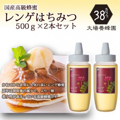 ふるさと納税 富山市 富山県産レンゲ蜂蜜500g　2本セット