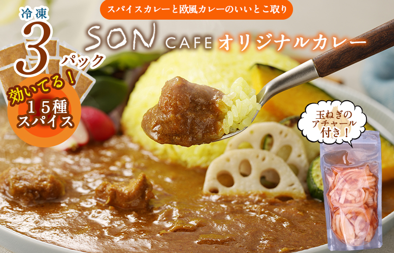 【スピード発送】15種スパイスを使用したSONカフェ特製カレー 200g×3P&玉ねぎのアチャール×1P  いずみピクルス NSW【大阪 泉佐野 大阪府 泉佐野市】