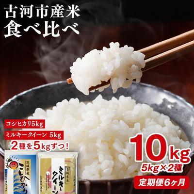 ふるさと納税 古河市 【定期便 6か月】令和7年産 お米食べ比べ コシヒカリ・ミルキークイーン 5kg×2種類 _DP53