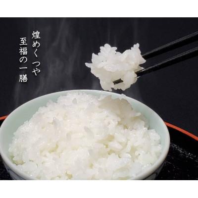 ふるさと納税 新庄市 【毎月定期便】米の匠みのりガーデン/金賞受賞農家の【特上 雪若丸】5kg全12回 |  | 01