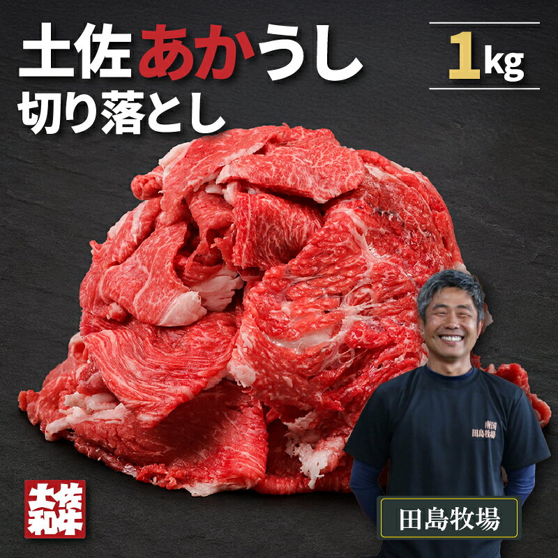 【ふるさと納税】 土佐 あかうし 赤牛 赤身 切り落とし 1kg | 和牛 あか牛 アカウシ 牛肉 大容量 1キロ 希少 ブランド牛 国産 プレゼント ギフト 冷凍 贈答 高知県 南国市