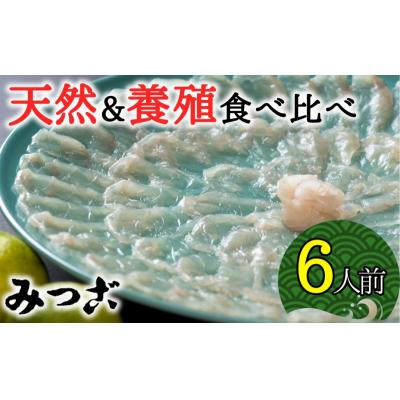 ふるさと納税 臼杵市 贅沢な食べ比べ!みつごの天然&amp;養殖とらふぐセット(計6人前)[冷蔵]