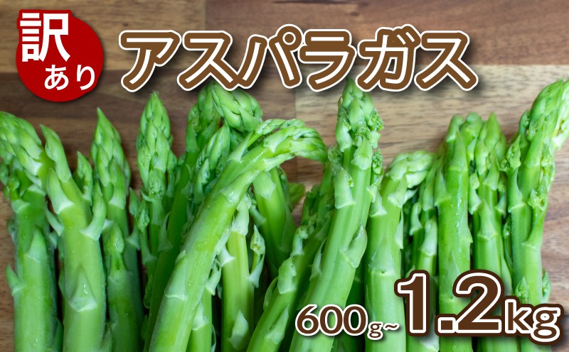 
                  【 先行予約 】訳あり アスパラガス B品  600g~1.2kg 朝採れ 大容量 アスパラ S~3L 有機肥料使用 サイズ混合 訳あり セット SDGs フードロス 食品ロス 支援 期間 限定 野菜 新鮮 夕飯 おかず お弁当 新鮮アスパラ 選べる 容量 サイズ 下関 山口 【2026年6月より発送】
                