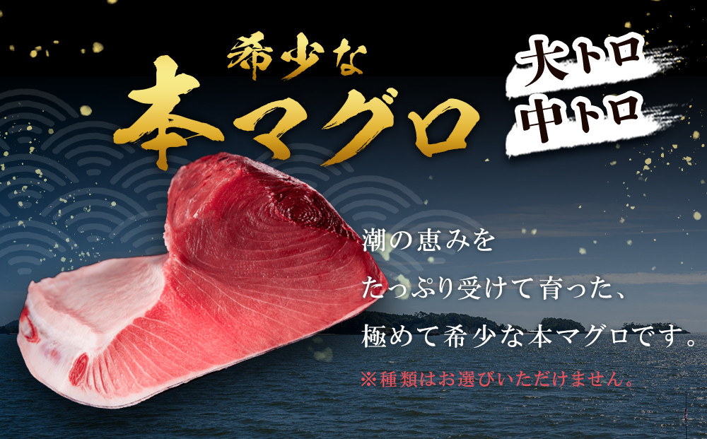 本場南紀から産地直送！ 本マグロ トロセット 400g | 【年末年始お届け可能】大トロ 中トロ 鮪 刺身 寿司 お正月