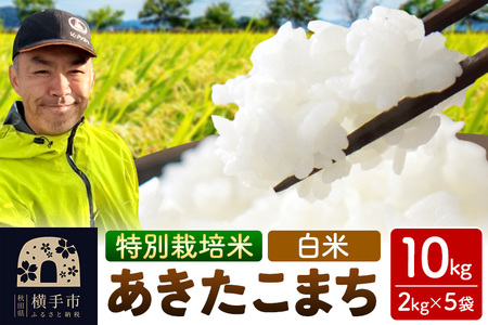 秋田県 横手市 【白米】令和7年産 秋田県産 特別栽培米 あきたこまち 10kg（2kg×5袋）