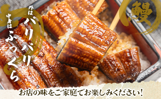 【7日程度で発送】うなぎ蒲焼き 3尾(合計約360g)(無頭) - 送料無料 鰻 ウナギ 魚介 晩ご飯 夕飯 おかず おつまみ スタミナ 敬老の日 ギフト 贈答 贈り物 丑の日 うなぎ屋きた本 高知県