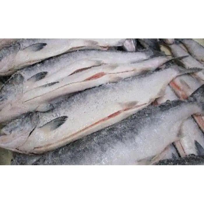 知床羅臼産 鮭　秋味切身セット 約400g×2パック 魚 さけ 国内 北海道