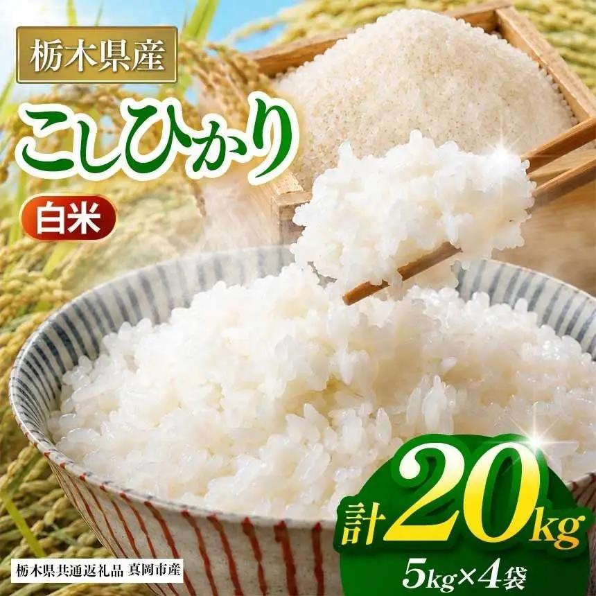 【栃木県共通返礼品】【令和８年度産】コシヒカリ 20kg お米  米 | 栃木県 那珂川町 送料無料