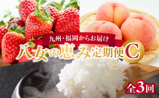 
            九州・福岡からお届け！八女の恵み定期便【全３回】 C｜＜配送不可：北海道・沖縄・離島＞
          