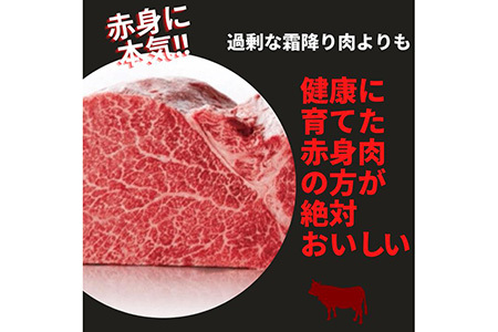 【訳あり 緊急支援】京都いづつ屋 厳選 亀岡牛 赤身 すき焼き用 300g×2パック（計600g）≪訳あり コロナ支援 和牛 牛肉 冷凍 すき焼き ふるさと納税牛肉 肉 牛肉 黒毛和牛 国産牛肉 京都