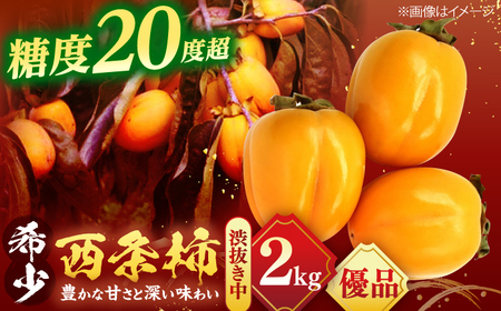 フルーツ 【先行予約】【20個限定】【優品】 とろ〜り甘さの極み！合わせ柿 2kg(8玉〜12玉) 島根県松江市/マルカミ農縁株式会社 [ALCM014] フルーツ フルーツ