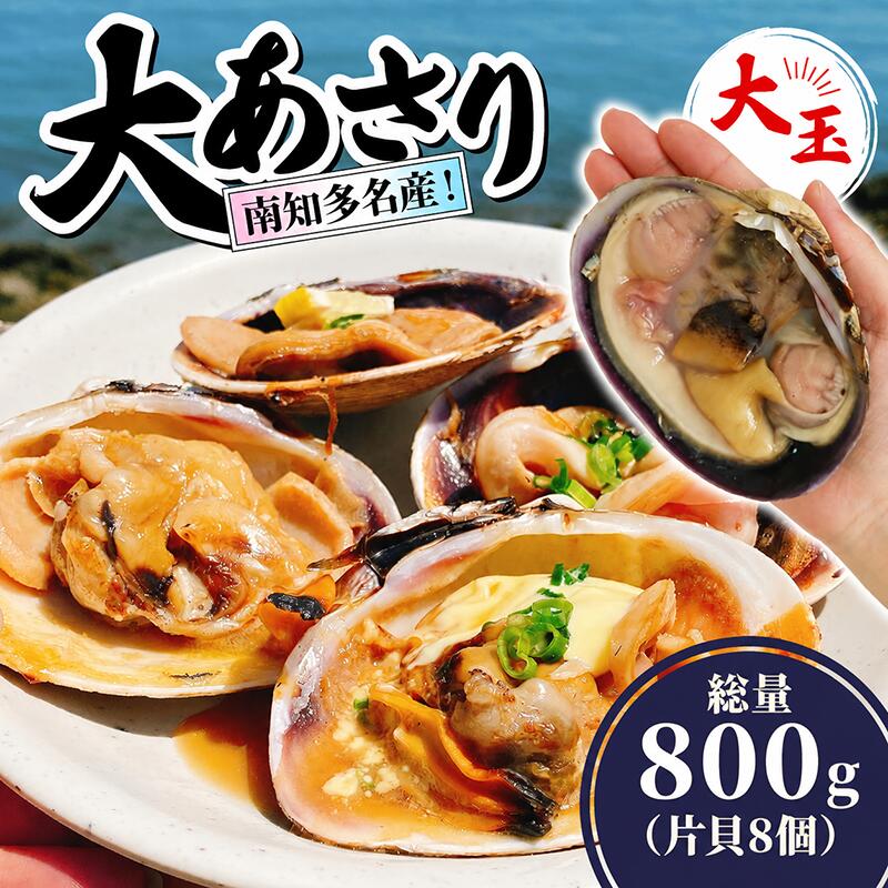 【ふるさと納税】 南知多名産！ 大あさり カット済み 大玉 片貝8個 (400g×2p) 800g 冷凍 プロトン凍結 魚貝 鮮魚 魚太郎 特産品 バーベキュー BBQ 浜焼き 酒蒸し 愛知県 南知多町 オオアサリ
