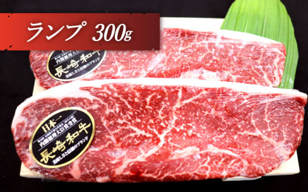 【全6回定期便】「希少部位 食べ比べ 」長崎和牛 贅沢3種の ステーキ Bセット 計6.6kg (約1.1kg/回)【黒牛】[QBD063]