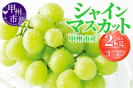 甲州市産シャインマスカット 3～5房（1箱2kg以上）【2026年発送】（OGN）C-1802 シャインマスカット フルーツ