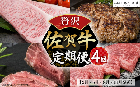 SE1 佐賀牛 贅沢！4回定期便【2月・5月・8月・11月発送】佐賀牛 定期便 肉 国産牛 サーロインステーキ ハンバーグ ローストビーフ カルビ 焼肉 佐賀県 太良町