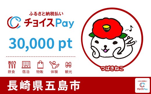 
                  五島市チョイスPay 30,000pt【会員限定のお礼の品】
                