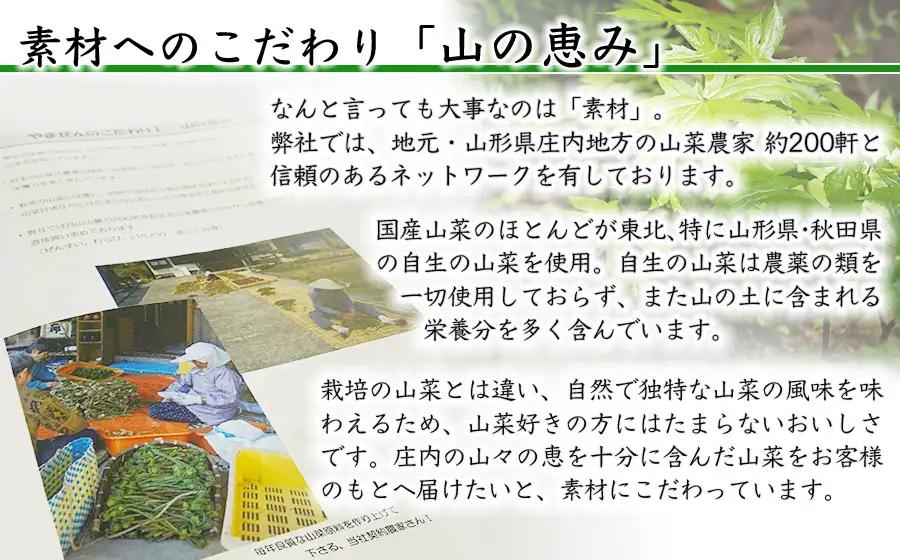 B01-451　国産山菜水煮セット　大