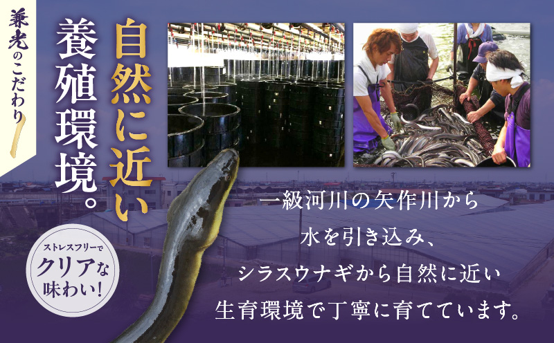 愛知県三河一色産うなぎ蒲焼き4尾+きざみうなぎ2食入り×2パック　セット(長焼き4尾で500g+きざみうなぎ(50g×2食)×2パック)・U024-240