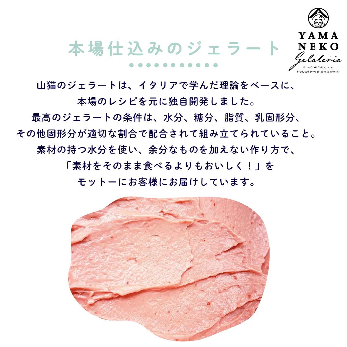 W01031 野菜ソムリエのイタリアンジェラート専門店＜山猫ソフトクリーム＞６個セット