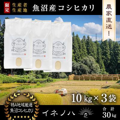 ふるさと納税 十日町市 生産農家直送!生産地・生産者限定魚沼産コシヒカリ「イネノハ」精米(10kg×3袋)【合計30kg】