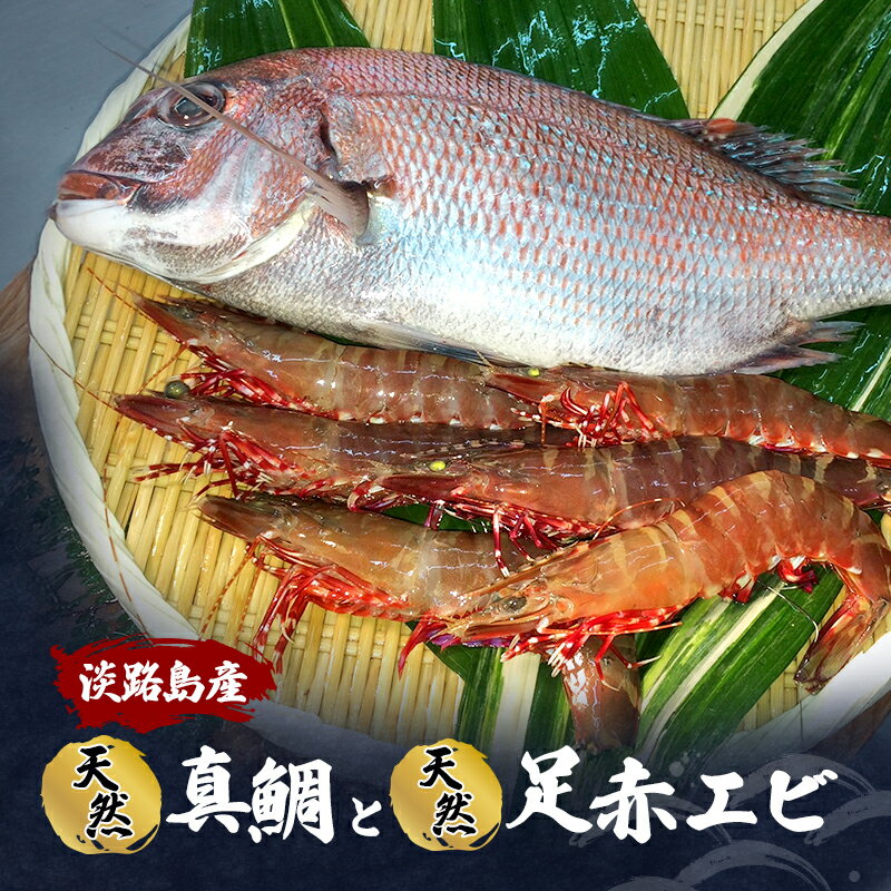 【ふるさと納税】淡路島産 天然 真鯛と足赤エビ セット 鯛 海老 魚介類 兵庫県 洲本市 淡路島　お届け：2025年11月上旬～2025年12月下旬まで