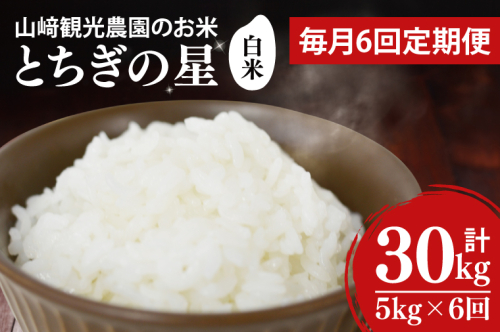 【全6回定期便】＜毎月＞ 山崎観光農園のお米 とちぎの星 白米 5kg（合計 30kg）単一原料米 100% ｜栃木県 益子町 ふるさと納税 お米 米 白米 精米 5kg 6ヵ月 令和7年産 定期便（AU036）