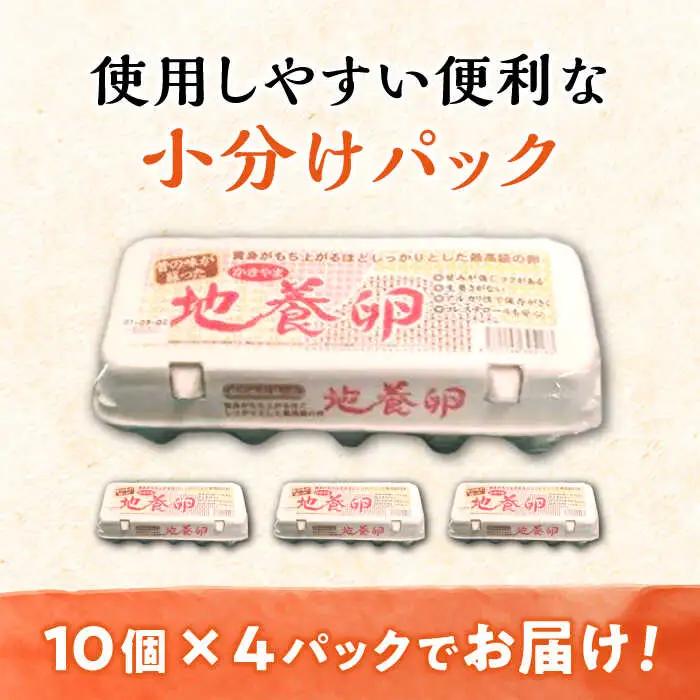 【6回定期便】最高級 卵 地養卵 Mサイズ 40個×6回定期便 長崎県産 西海市 たまご 卵 玉子 タマゴ 鶏卵 オムレツ 卵かけご飯 朝食 料理 人気 卵焼き＜垣山養鶏園＞ [CBB019]