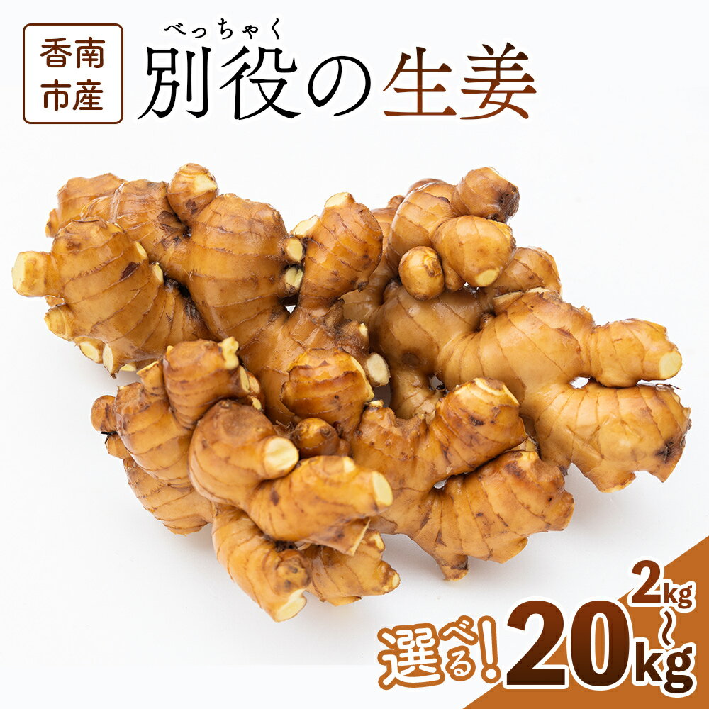 【ふるさと納税】香南市産 別役の生姜 (選べる：2kg／4kg／8kg／10kg／20kg) - しょうが ショウガ ジンジャー 薬味 調味料 国産 株式会社べっちゃく 高知県 香南市【常温】