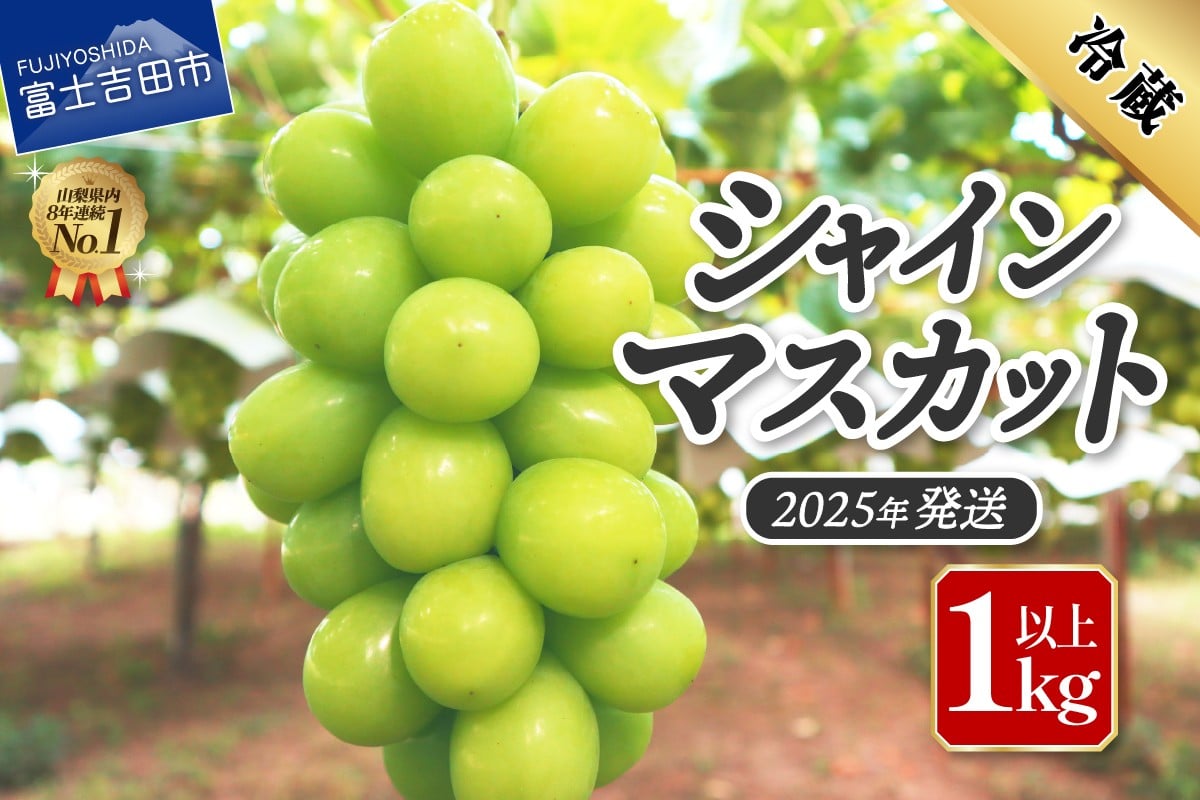 
            【2025年発送】ジューシーで甘さ抜群　厳選シャインマスカット1kg以上 数量限定 期間限定 シャインマスカット ぶどう シャイン フルーツ 果物 山梨 富士吉田市
          