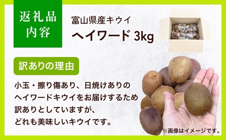 【先行予約】 訳ありヘイワード3kg（小玉、異形、擦り傷、日焼け） 【2025年12月中旬以降順次発送】 数量限定 希少 国産 甘い 氷見キウイランド 富山県 氷見市