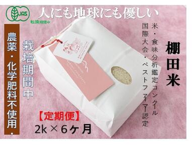【2025年産新米】【定期便】魚沼コシヒカリ 苗場プリンセス・プレミアム 有機jaS認証米 玄米（2kg）×6回 合計12kg