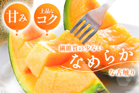 【先行予約】【数量限定】 赤肉メロン２玉【令和８年７月～８月上旬発送】【12031】