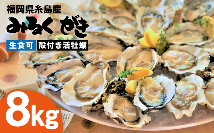 
            【日時指定可】みるくがき 8kg ◆生食可 から付き 活牡蠣 《糸島》【豊久丸】牡蠣 生カキ 生食用 殻付き カキ 生牡蛎 生食可 [AEJ007]
          