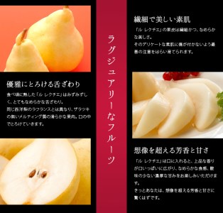 先行予約 [規格を厳選] ル レクチエ 4kg [11月下旬から発送予定] 令和7年度 洋梨 天果糖逸 新潟県産 ル・レクチェ 【020S026】